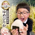 【令和7年産】10月15日発送開始 北海道伊達市産 ゆめぴりか 10kg 精米