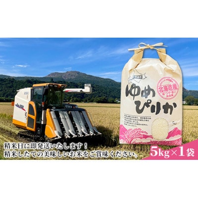 【毎月定期便】北海道伊達市産 ゆめぴりか 5kg 精米全6回