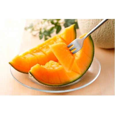 北海道産 有珠メロン 赤肉 Lサイズ 1.6kg以上×2玉 ツル付き ルピアレッド