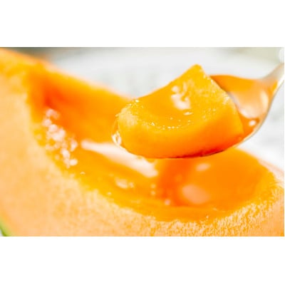 北海道産 有珠メロン 赤肉 Lサイズ 1.6kg以上×2玉 ツル付き ルピアレッド