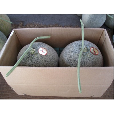 北海道産 有珠メロン 赤肉 Lサイズ 1.6kg以上×2玉 ツル付き ルピアレッド