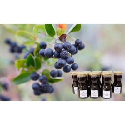 北海道伊達大滝産アロニアセットC　アロニア果汁80ml×8瓶