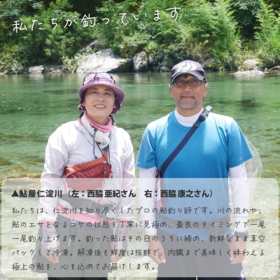 鮎屋仁淀川の仁淀ブルー友釣り天然鮎500g(5-14尾)【2025年6月アユ漁解禁後発送】
