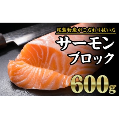 厳選 サーモンブロック　600gセット