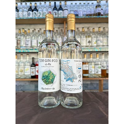 サンショウ香る&暗渠　板橋クラフトジン(トムジン)2本セット【24012004】700ml×各1本