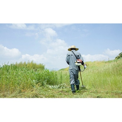 ふるさとの空き家・空き地等のお手入れサービス