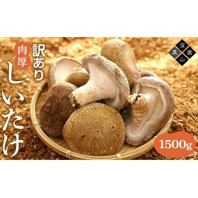 【有機】深山農園の 中身美人の新鮮しいたけ ～アウトレット～1,500g