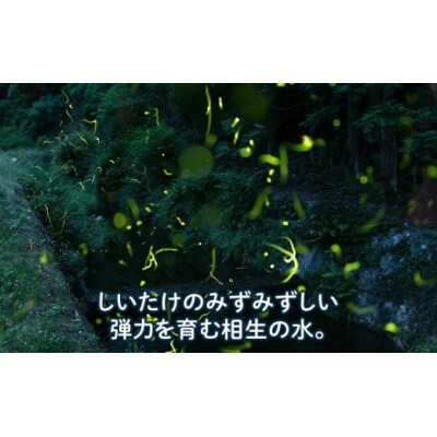 【有機】深山農園の 中身美人の新鮮しいたけ ～アウトレット～1,500g