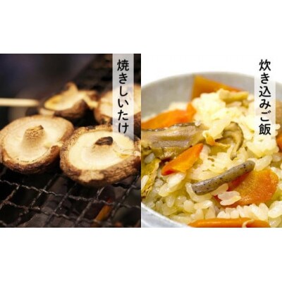 【有機】深山農園の 瀬戸内しいたけ ～肉厚で、大きく、ジューシー～1,200g