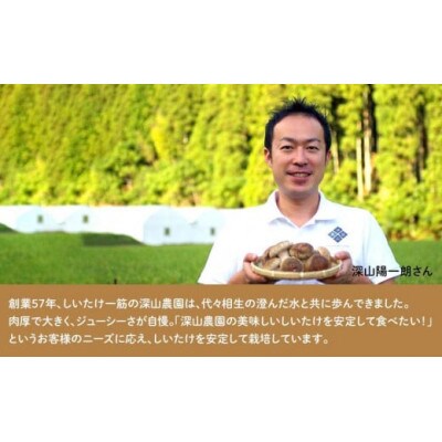 【有機】深山農園の 瀬戸内しいたけ ～肉厚で、大きく、ジューシー～1,200g