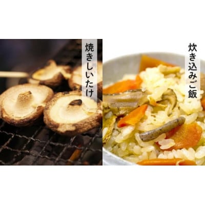 【有機】深山農園の 中身美人の新鮮しいたけ ～アウトレット～750g