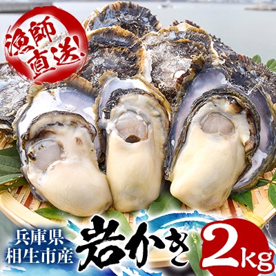★先行予約★岩かき　2kg【漁師直送!】2025年5月中旬～発送