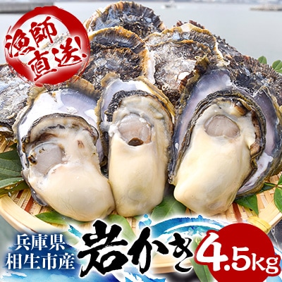 ★先行予約★岩かき　4.5kg【漁師直送!】2025年5月中旬～発送