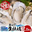 ★先行予約★殻付き生牡蠣 2.5kg【漁師直送!】