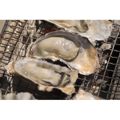 ★先行予約★殻付き生牡蠣 2.5kg【漁師直送!】