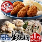 ★先行予約★むき身 生牡蠣500g×2【漁師直送!】