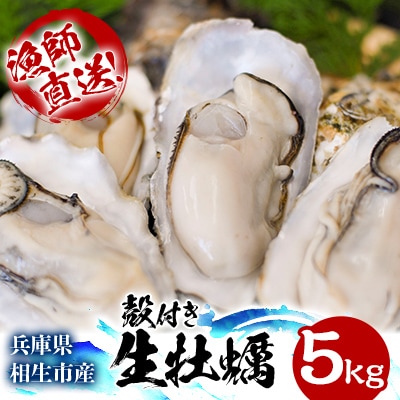★先行予約★殻付き生牡蠣 5kg【漁師直送!】