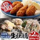 ★先行予約★むき身 生牡蠣500g×4【漁師直送!】