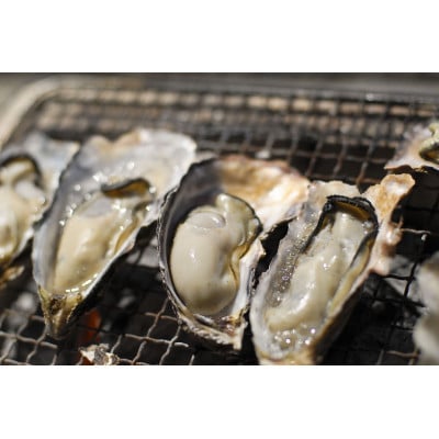★先行予約★殻付き生牡蠣 4kg,むき身 生牡蠣500g×2【漁師直送!】