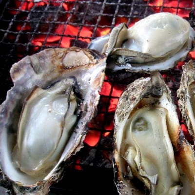 ★先行予約★《訳あり・不揃い》殻付き生牡蠣　1.5kg 【漁師直送!】冷蔵配送