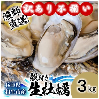 ★先行予約★《訳あり・不揃い》殻付き生牡蠣　3kg 【漁師直送!】冷蔵配送