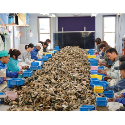 ★先行予約★岩かき　2kg【漁師直送!】2027年6月上旬～発送