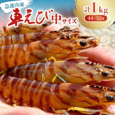 【養殖場から直送】急速冷凍車えび 中サイズ 1kg(44～52尾/500g×2P)