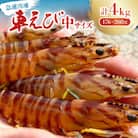 【養殖場から直送】急速冷凍車えび 中サイズ 約4kg(176～208尾/500g×8P)