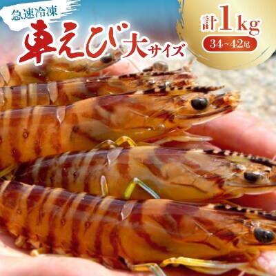 【養殖場から直送】急速冷凍車えび 大サイズ 1kg(34～42尾/500g×2P)
