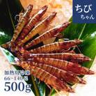 【養殖場から直送】急速冷凍車えび ちびちゃん500g(約66～140尾位/500g×1P)