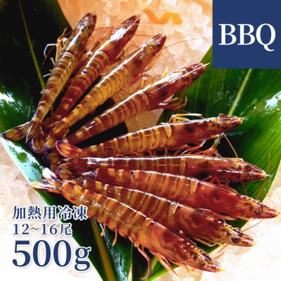 【加熱用・養殖場から直送】急速冷凍車えび BBQ 約500g(12～16尾/500g×1P)