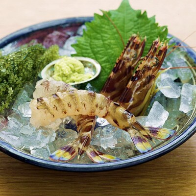 【養殖場から直送】活き車海老 超大物サイズ 約500g(12～13尾/約17cm)