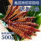 【養殖場から直送】急速冷凍車えび 訳アリ品 500g