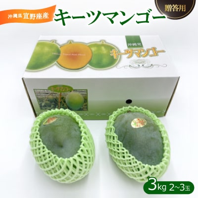 【2025年発送・贈答用】宜野座産のキーツマンゴー3.0kg(2～3玉)