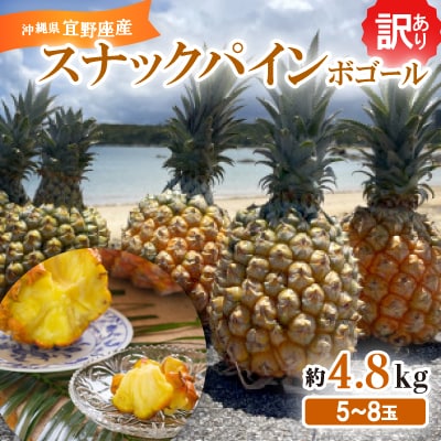【2025年発送・訳あり】スナックパイン(ボゴール)5～8玉(約4.8kg)