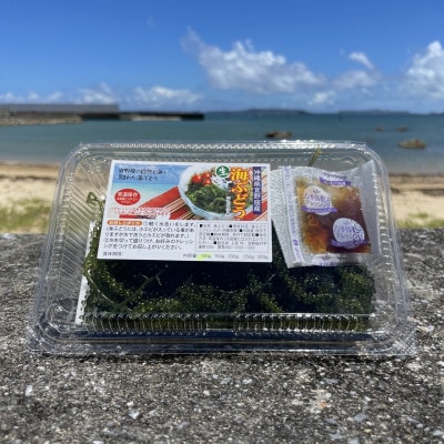 宜野座村の海ぶどう(100g×5パック)