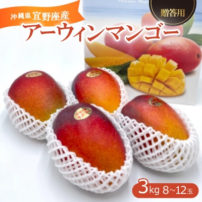 【2025年発送・贈答用】宜野座産のアーウィンマンゴー3.0kg(8～12玉)