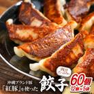 沖縄ブランド豚「紅豚」を使った肉汁たっぷりの餃子 60個(12個×5袋)