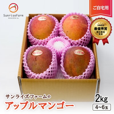 【2025年発送】サンライズファームのご自宅用マンゴー2kg(4～6玉)