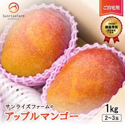 【2025年発送】サンライズファームのご自宅用マンゴー1kg(2～3玉)