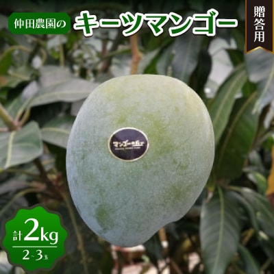 【2025年7月～8月頃の発送・贈答用】マンゴーの丘 キーツマンゴー 2kg(2～3玉)