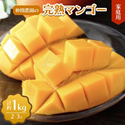 【2025年6月以降順次発送】仲間農園の家庭用 完熟マンゴー 約1kg(2～3玉)