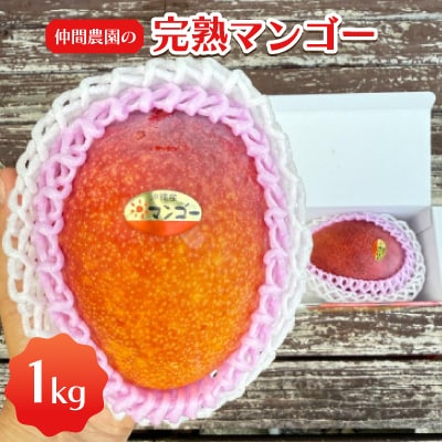 【2026年6月から順次発送】甘みと酸味が絶妙なバランスの仲間農園の完熟マンゴー1kg