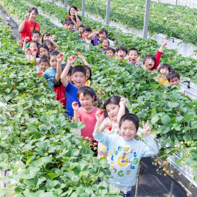 【返礼品なし】沖縄県宜野座村 ふるさと応援寄金 10,000円