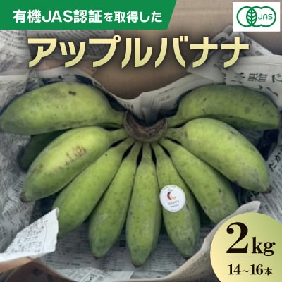 【2025年8月から順次発送】有機JAS認証を取得した アップルバナナ 2kg(14～16本)