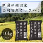 【新米先行受付・令和5年産】新潟県奥阿賀産こしひかり10kg(5kg×2)<10月中旬以降順次発送>