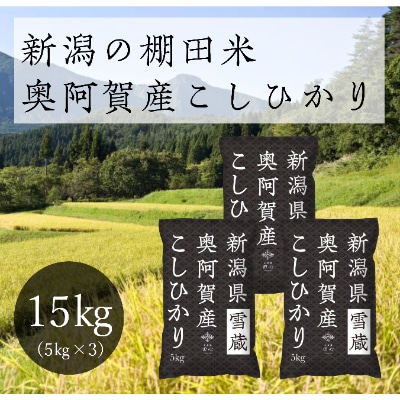 【令和6年産先行受付・2024年10月10日以降発送】新潟県奥阿賀産こしひかり15kg(5kg×3)