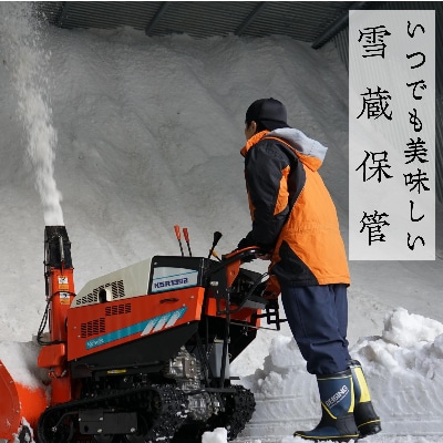 【令和6年産先行受付・2024年10月10日以降発送】新潟県奥阿賀産こしひかり15kg(5kg×3)