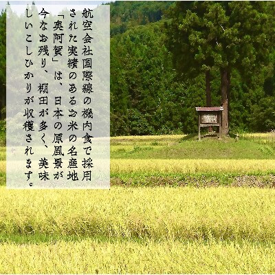 【2022年2月中旬発送】新潟県奥阿賀産こしひかり5kg