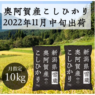 【2022年11月中旬発送】新潟県奥阿賀産こしひかり10kg(5kg×2)